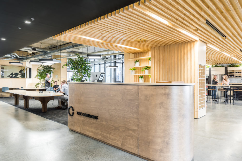 The Commons, South Melbourne by Siren Design. Photo by Cheyne Toomey.