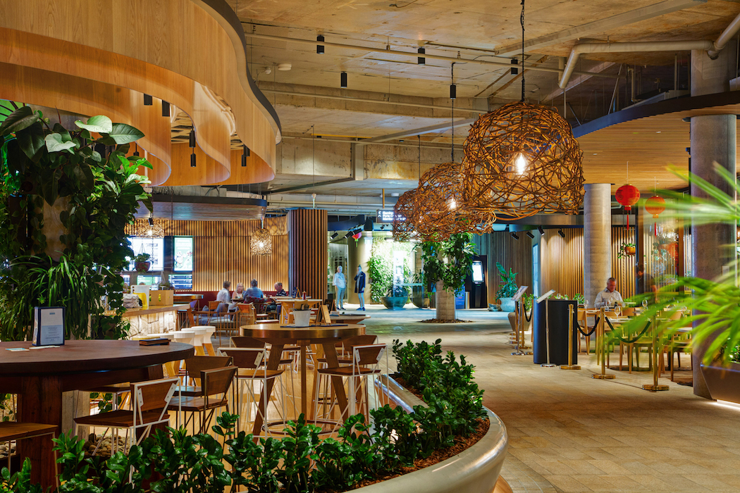 Fender Katsalidis designs a cavelike interior for Harbord Diggers Club