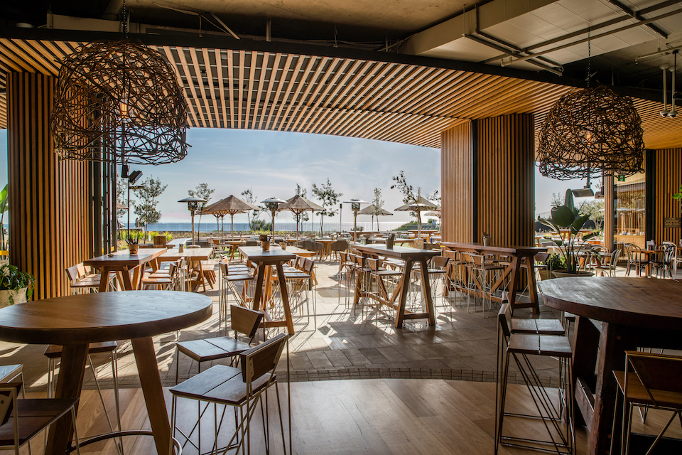 Fender Katsalidis designs a cavelike interior for Harbord Diggers Club